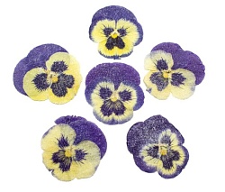 Засахаренный Обезвоженный съедобный цветок "Северная бабочка" 6 шт